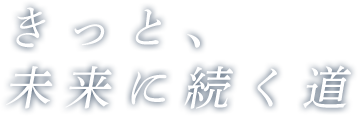 きっと、未来に続く道